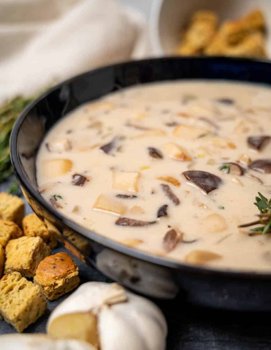 close up photo of an oyster mushroom soup