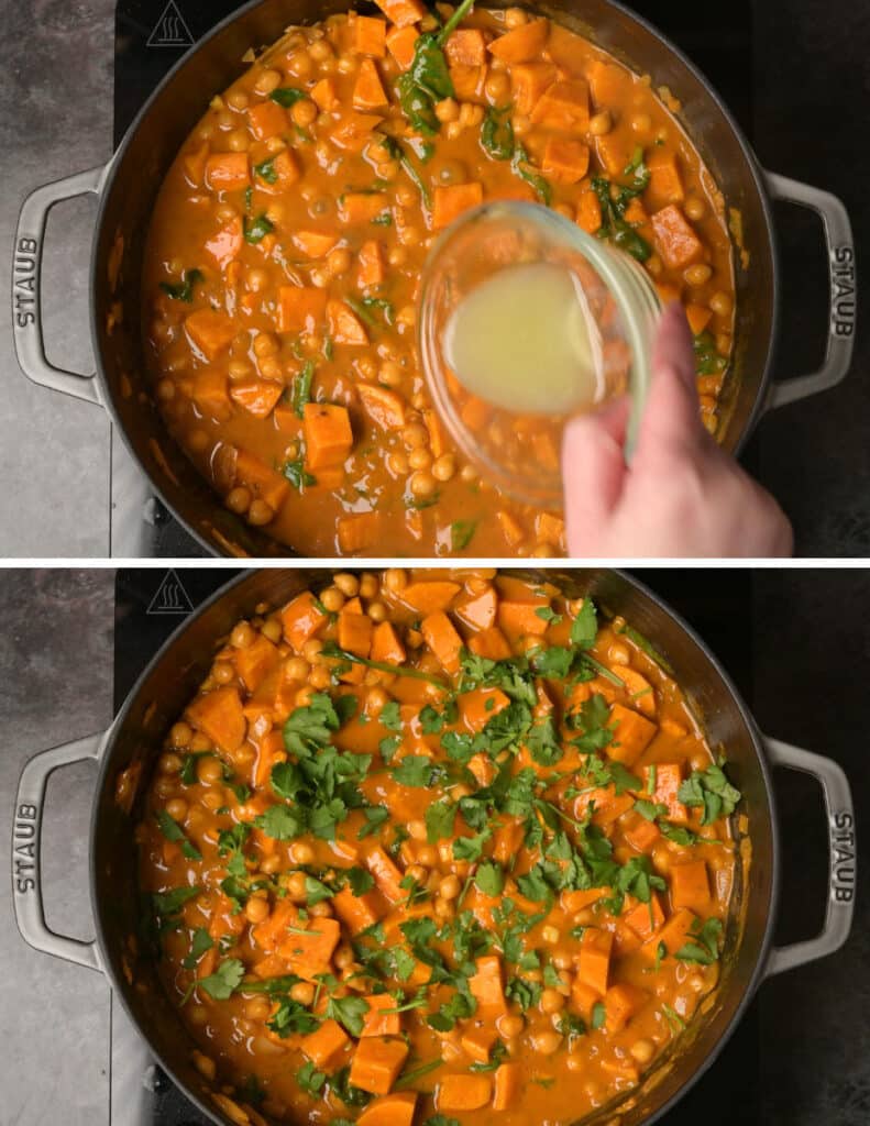 Sweet Potato and Chickpea Curry - Vegan Cocotte