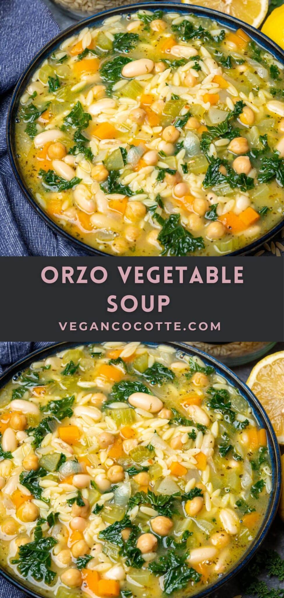 Orzo Vegetable Soup - Vegan Cocotte