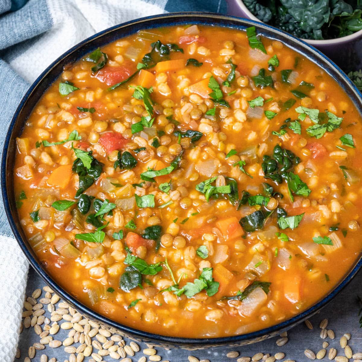 Barley lentil soup online instant pot