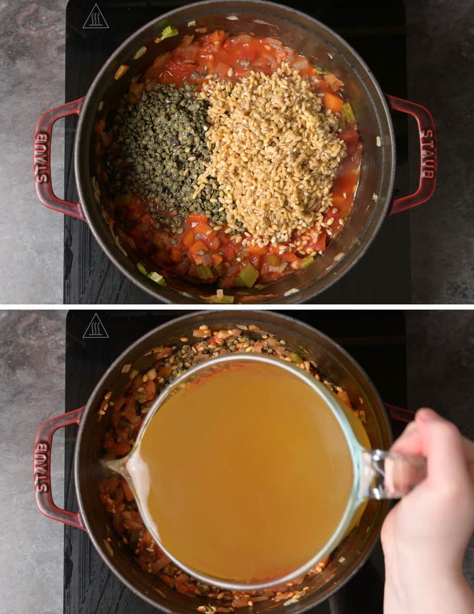 barley and lentil soup making instructions